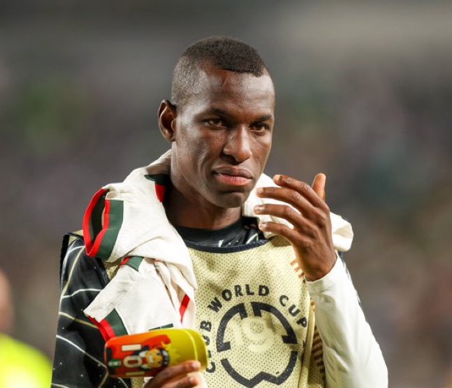 表示, entit 表示, entit